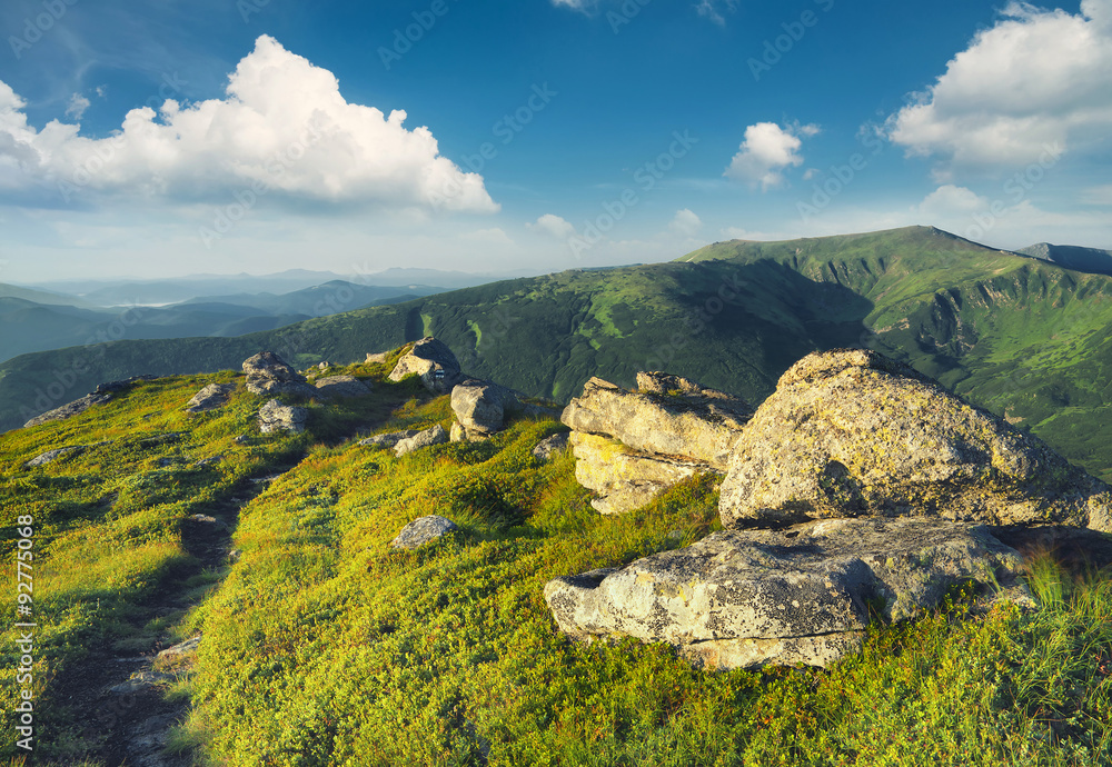 山丘。美丽的夏季景观