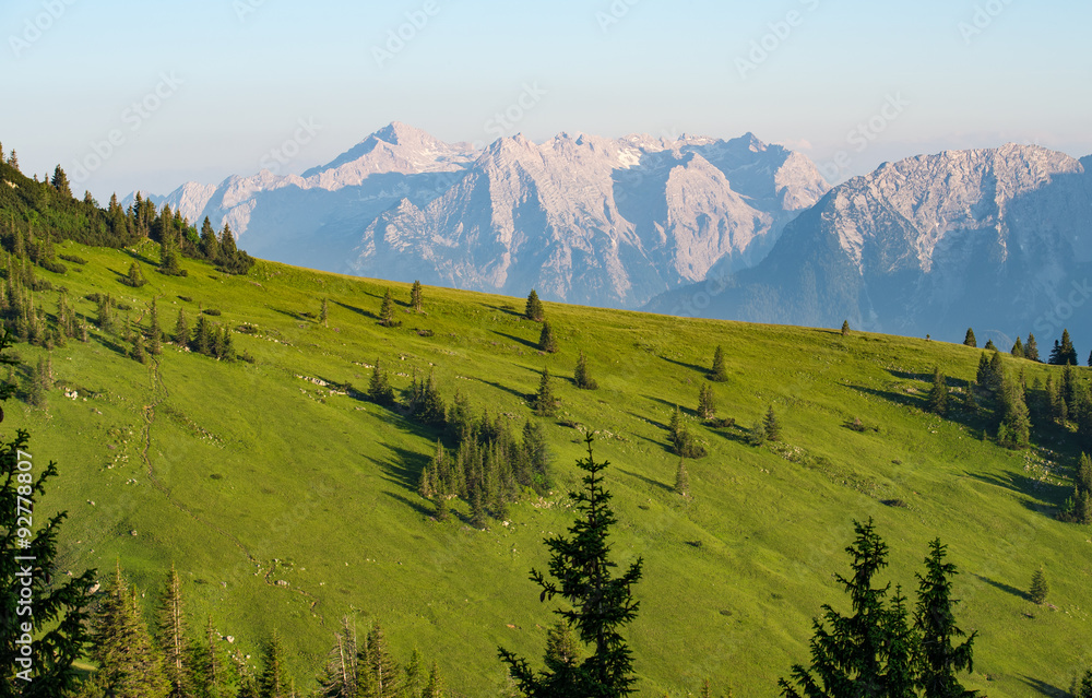 Alpenpanorama