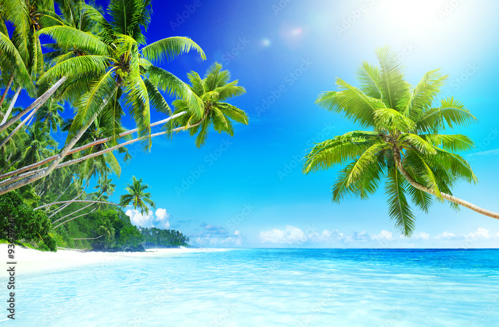 Tropical Paradise Beach Seascape Travel Destination Concept