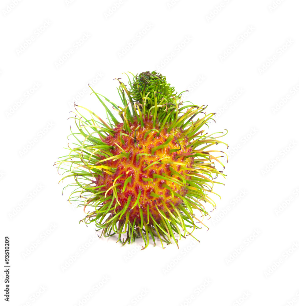 rambutan fruit on white background