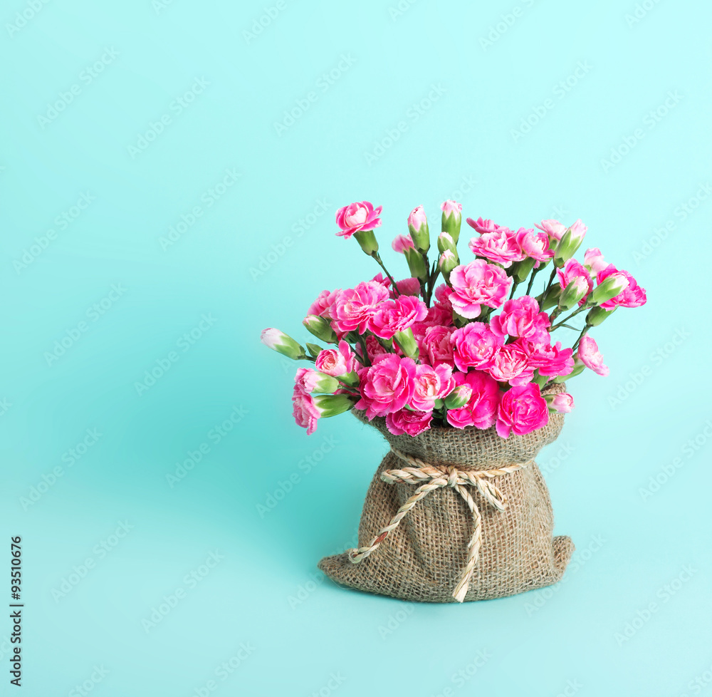 beautiful blooming of  pink carnation flowers 