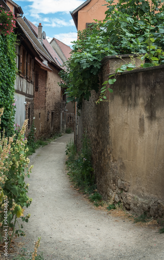 Street with half-timbered medieval houses in Eguisheim village