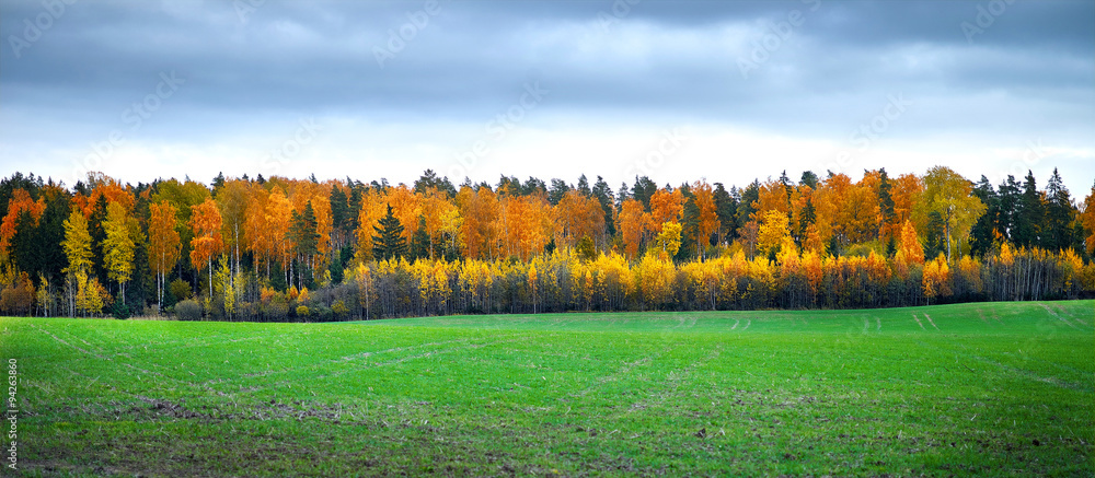 Autumn landscape