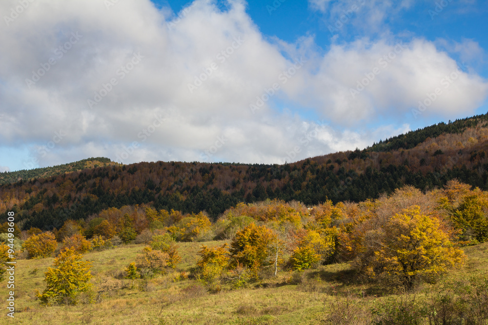 Autunno nella vetta del Monte Fumaiolo