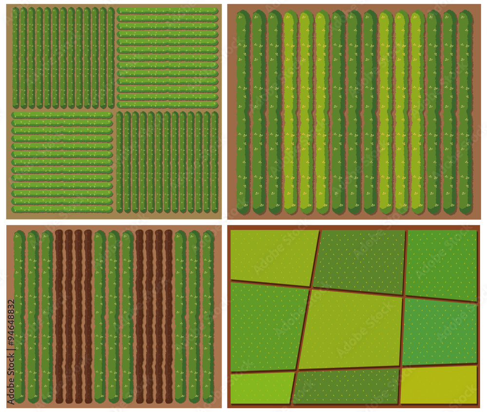 Pattern of crops from top view