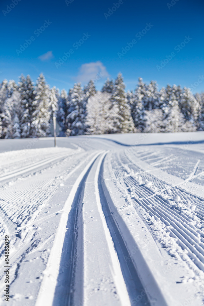 Cross-country ski track in winter wonderland scenery on a sunny day with blue sky