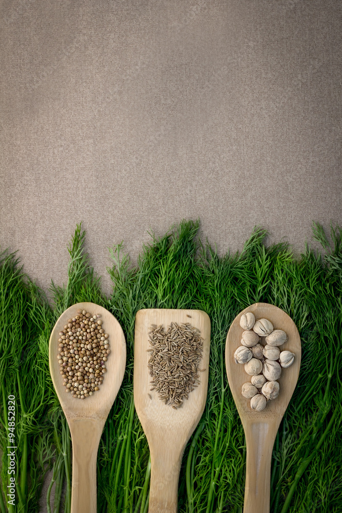 Wooden Spoon filled with colorful spices  with green herb