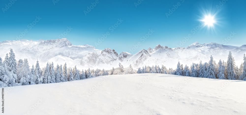 Winter snowy landscape