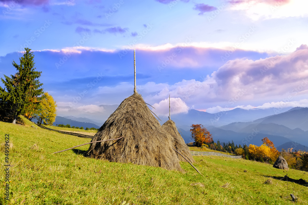 山中山村的干草垛