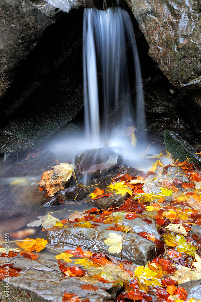 Mountain river in the autumn forest