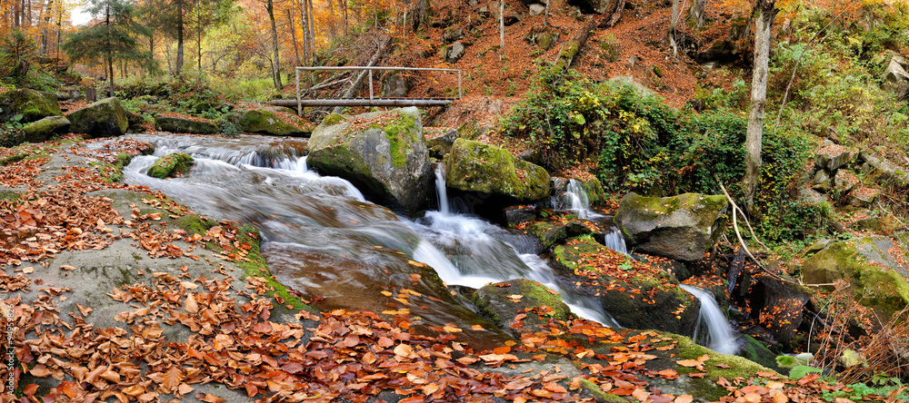 Mountain river in the autumn forest