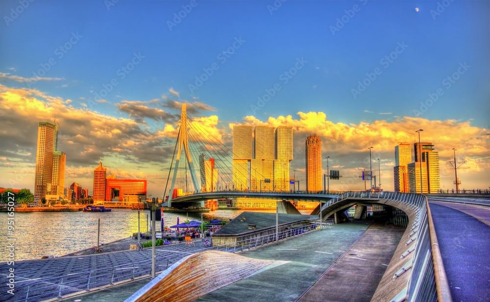 Erasmus Bridge in Rotterdam - Netherlands