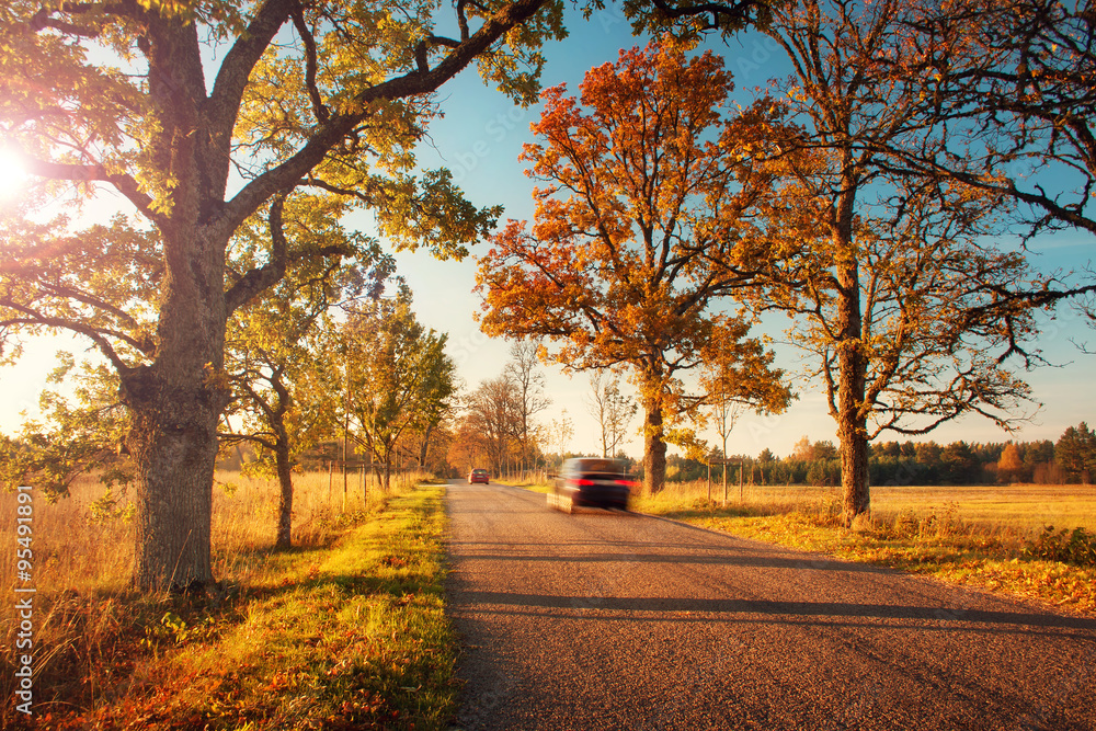 alley in autumn