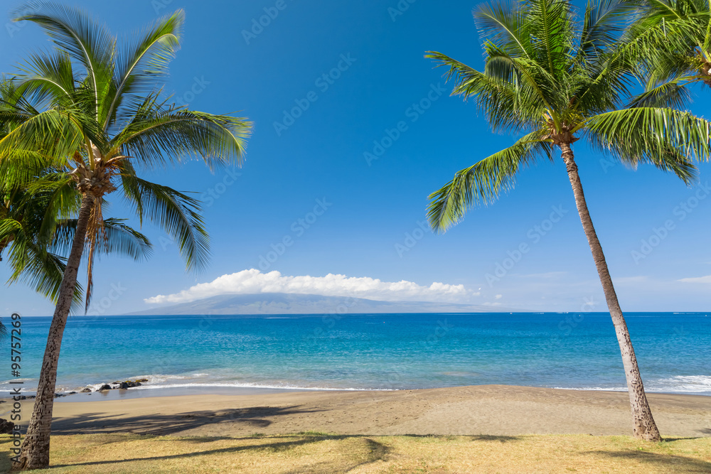 热带海滩天堂