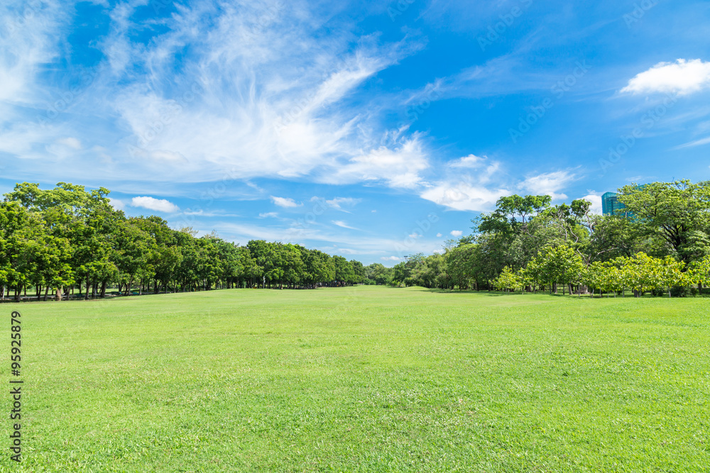 Green grass field in big city park