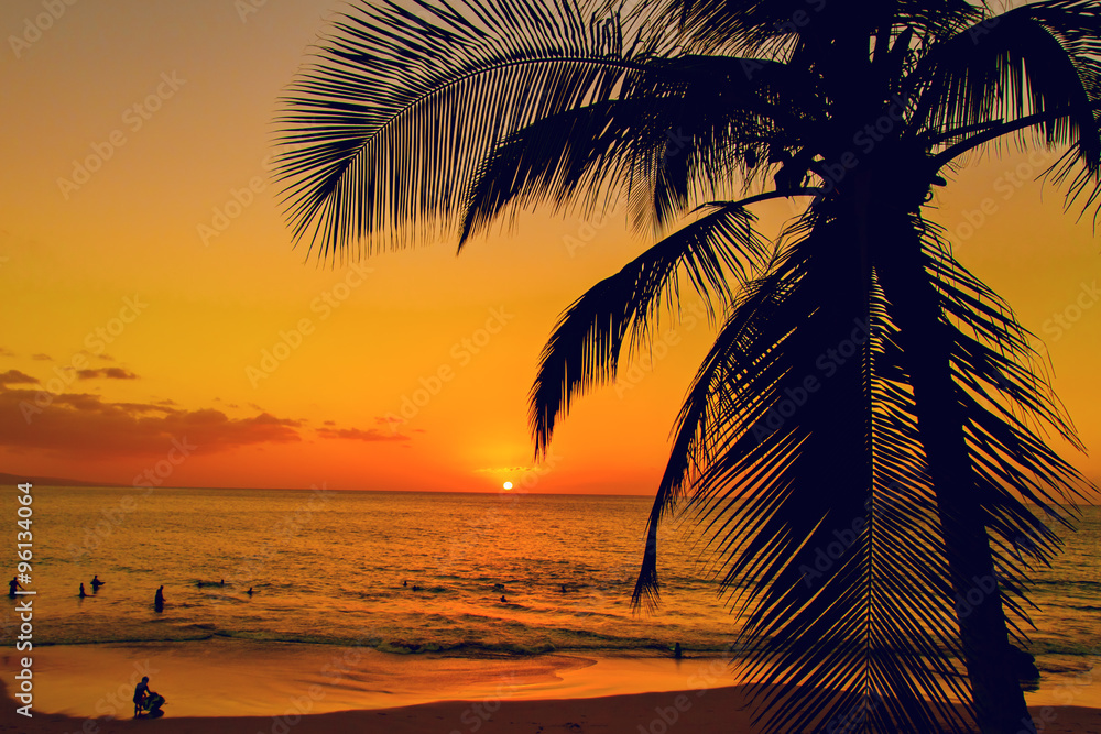 Tropical island sunset with silhouette of palm trees, hot summer day vacation background, golden sky