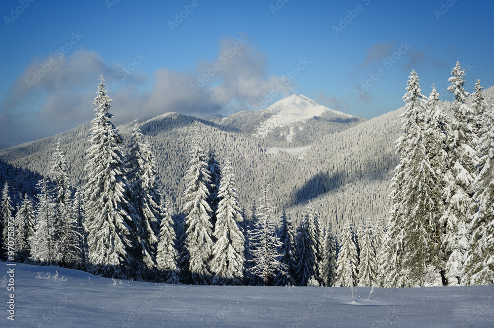 Winter morning in the mountains