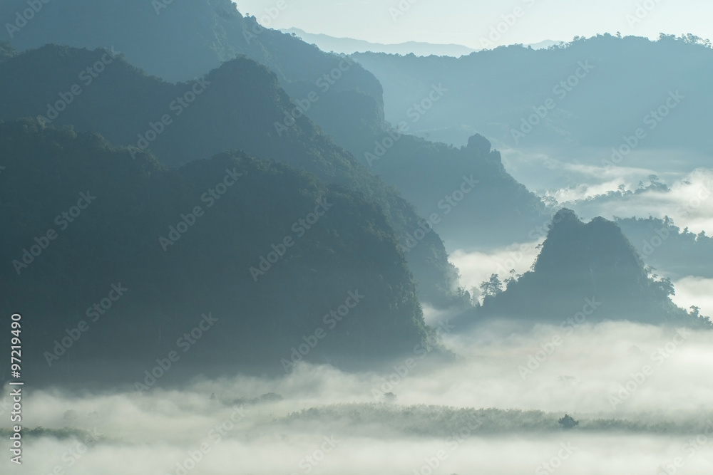 泰国北部雾蒙蒙的早晨景观，Phu Lang Ka，Phaya