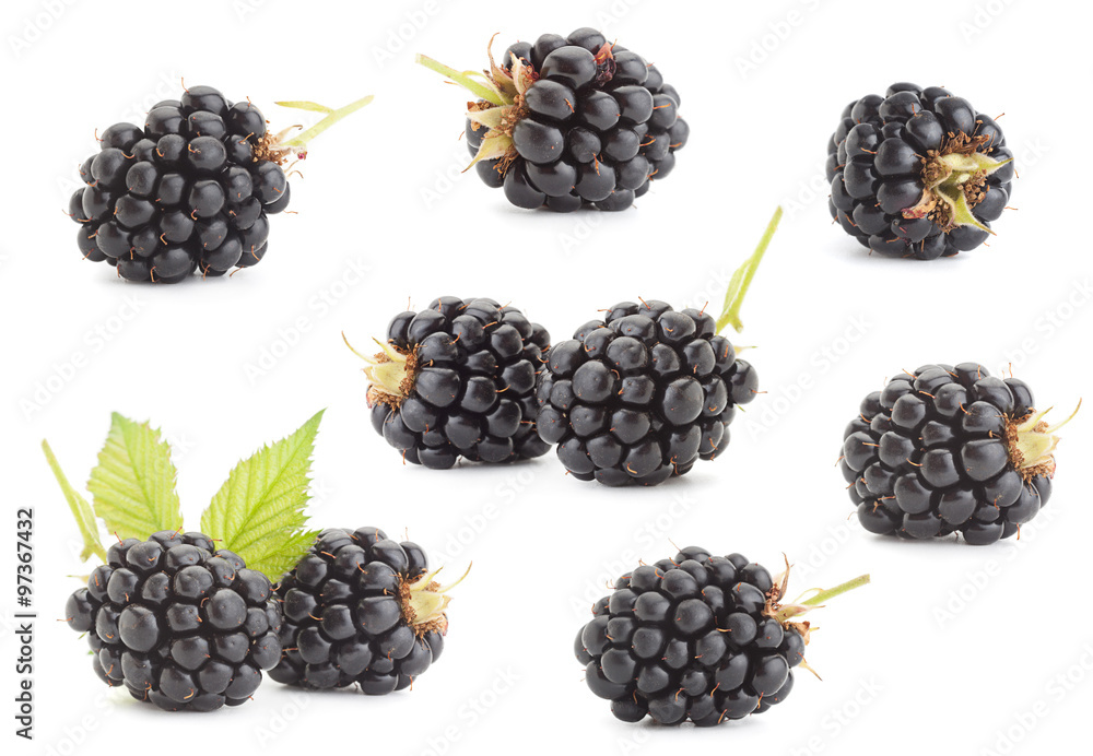 Blackberry fruit collection