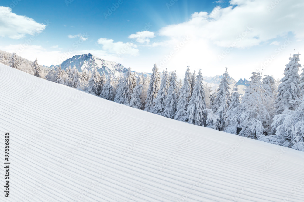 Winter Alpine snowy landscape