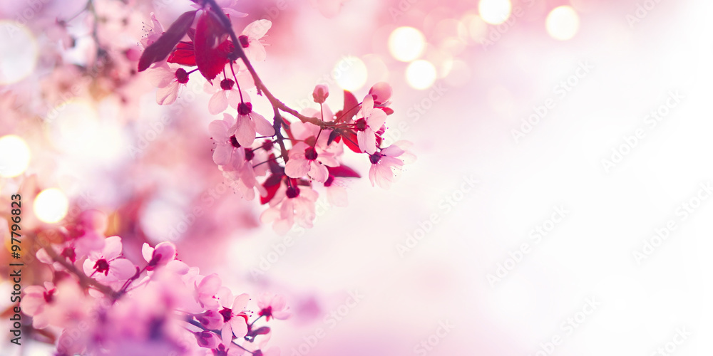 Spring blossom border with pink blooming tree