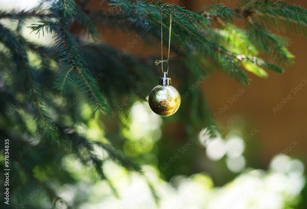 Christmas golden toy ball hanging on branch of a fur-tree