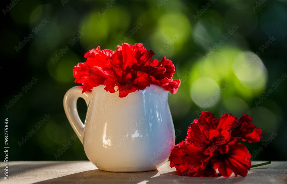 red Hibiscus rosa-sinensis flower or China rose