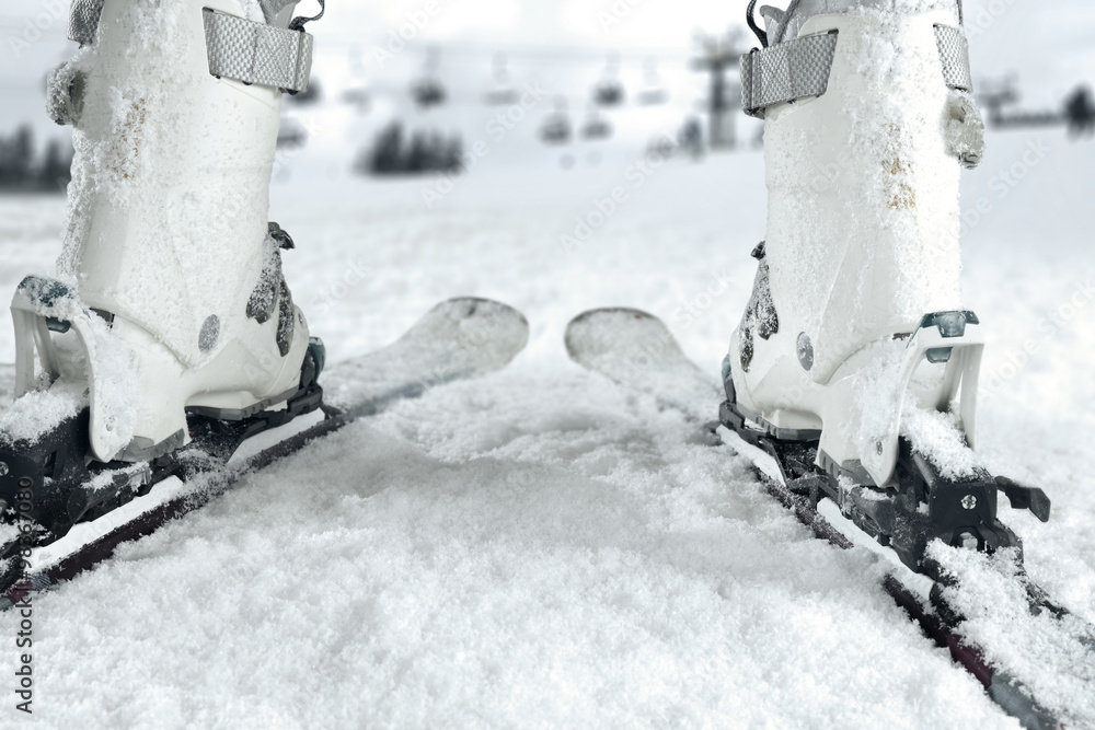 滑雪板