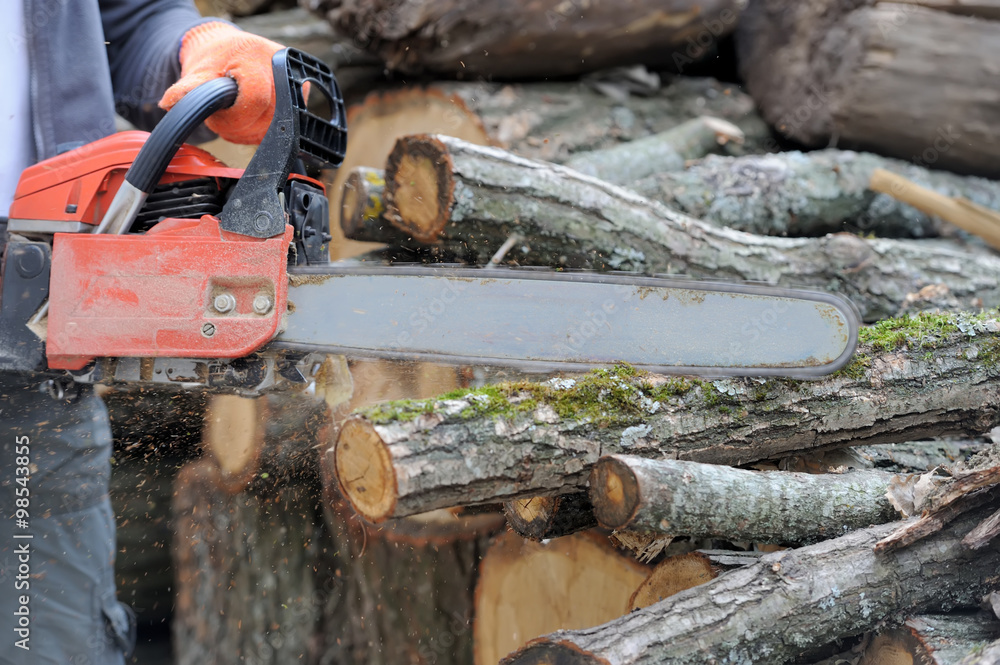  Chainsaw and tree