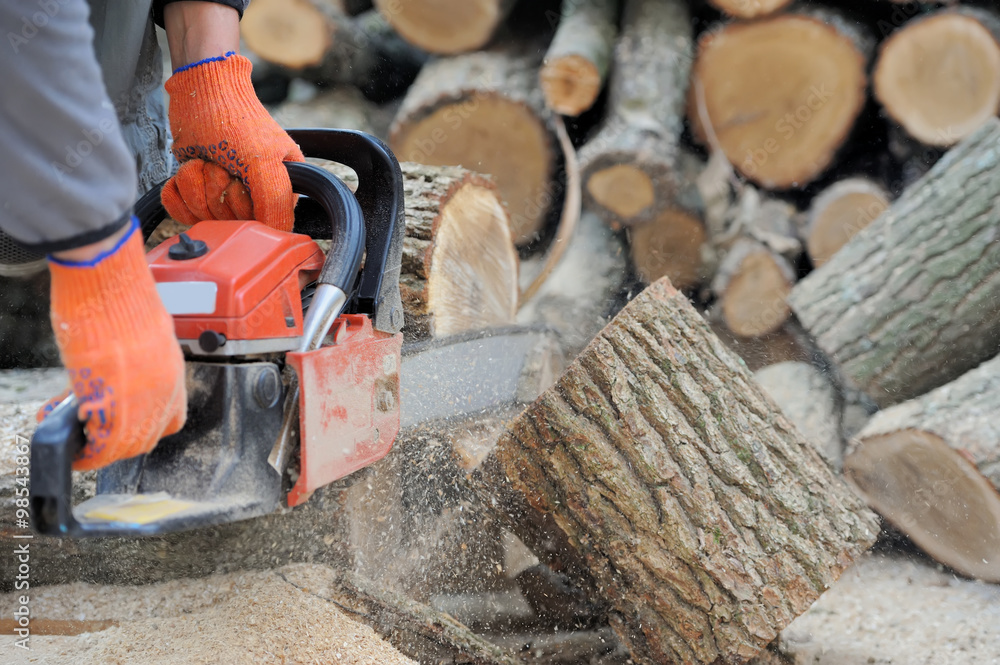  Chainsaw and tree