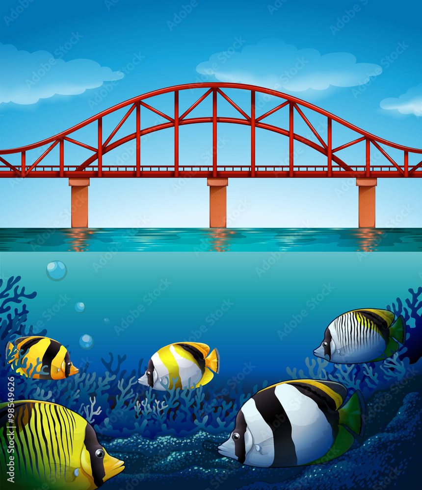 Bridge over the ocean and underwater scene