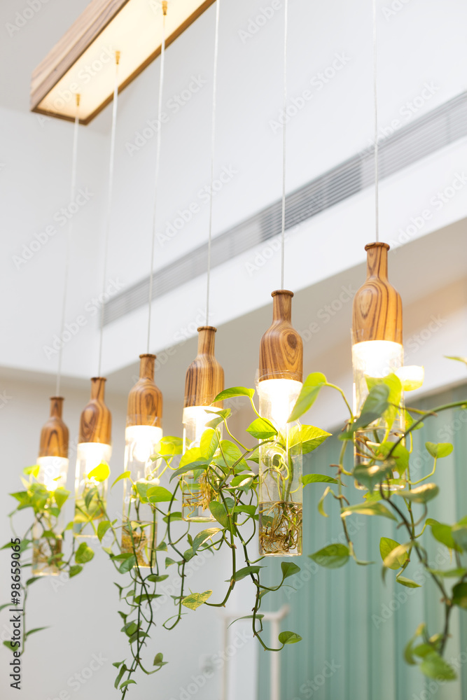 beautiful lights with plants hanging in room