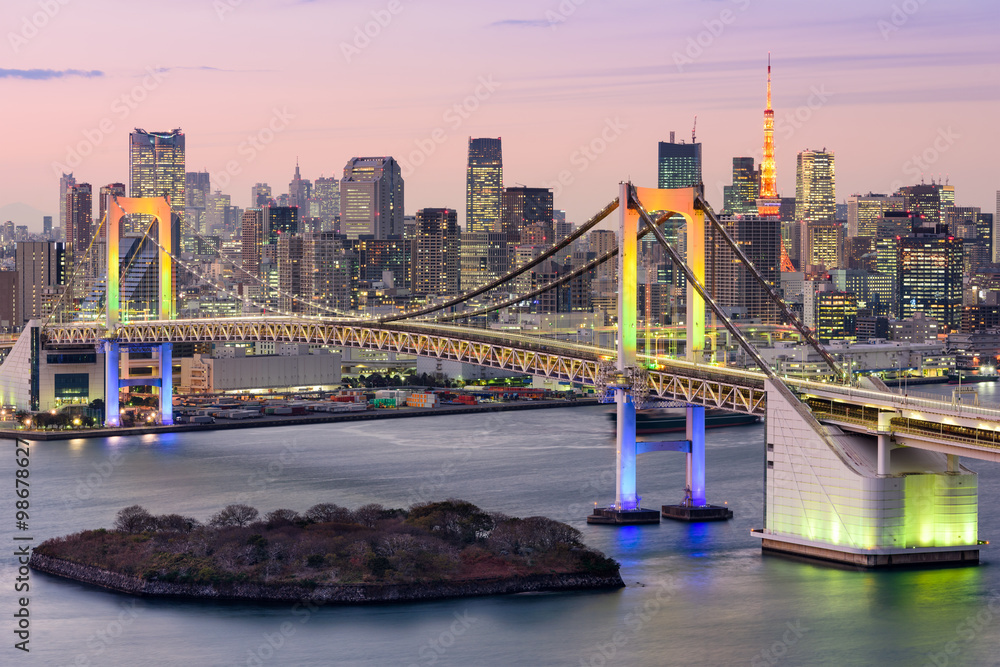 Tokyo Bay Skyline