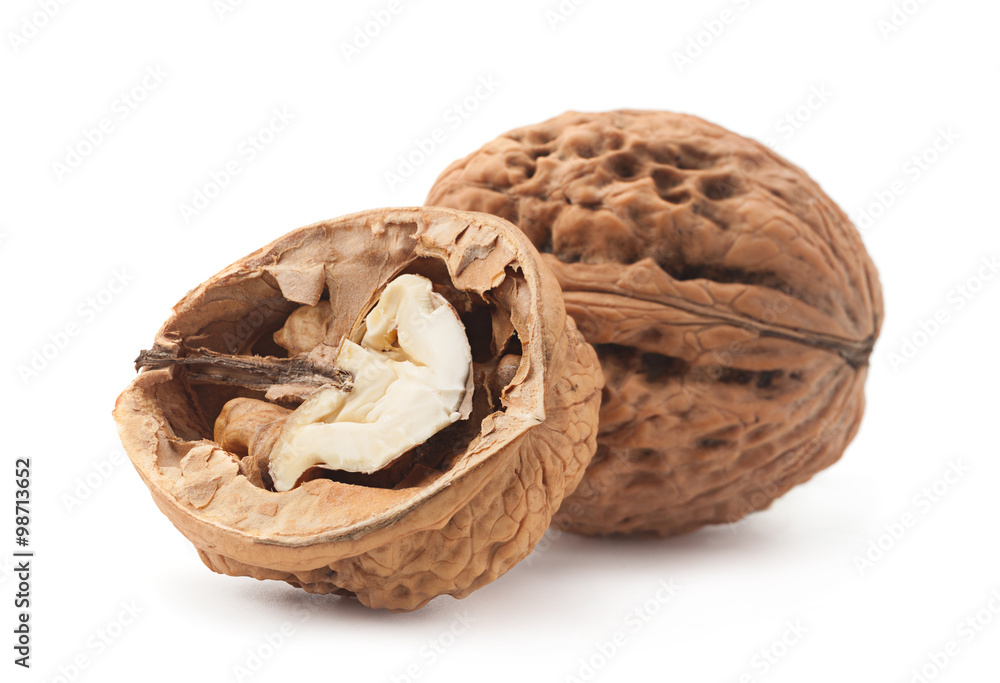 Walnut fruit on white