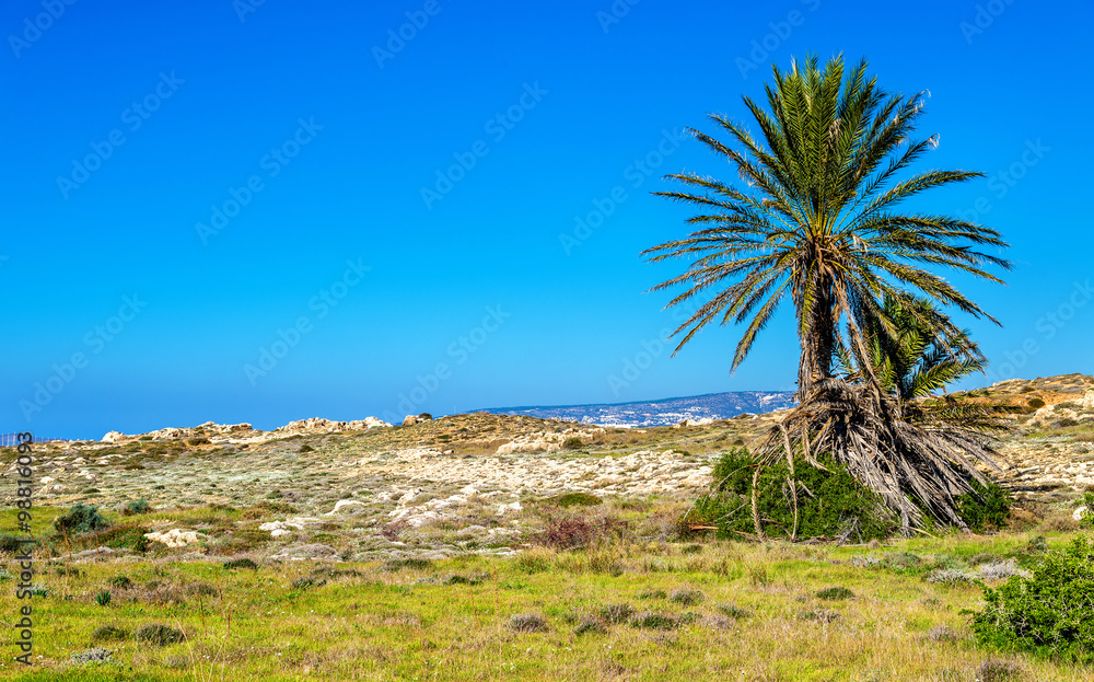 Tombs of the Kings, an ancient necropolis in Paphos - Cyprus