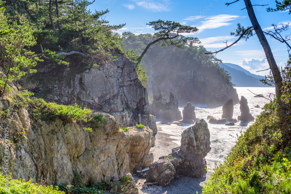 Rocky Coast of Japan