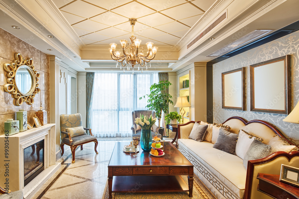 interior of luxury living room