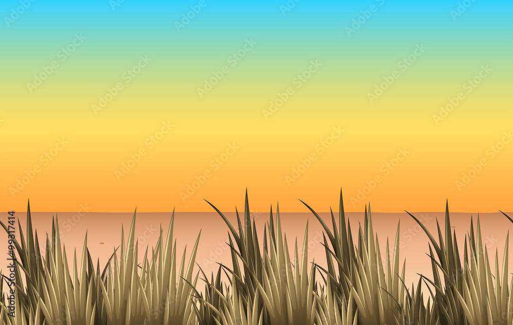 Nature scene with sand and grass