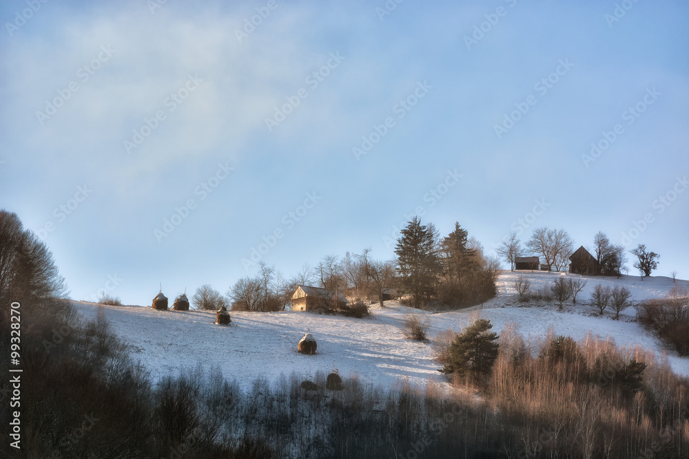 Frozen sunny day of a winter, on wild transylvania hills. Holbav. Romania. Low key, dark background,