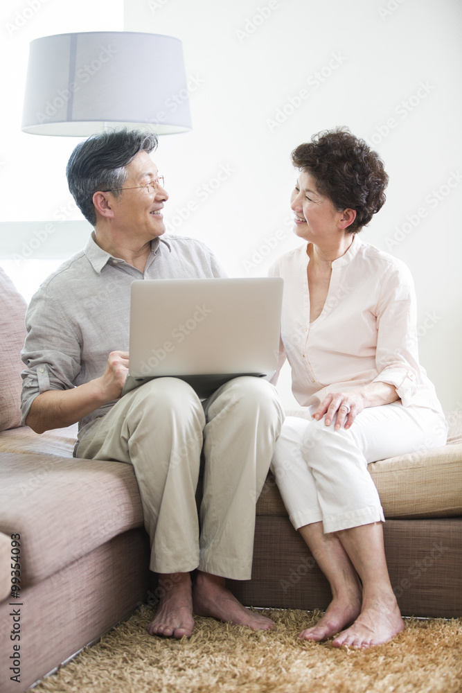 Happy senior couple using laptop