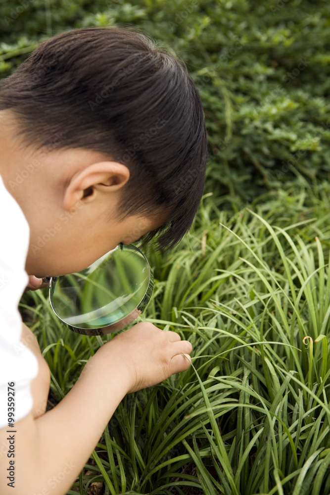 Young Boy Looking Through Magnifying Glass