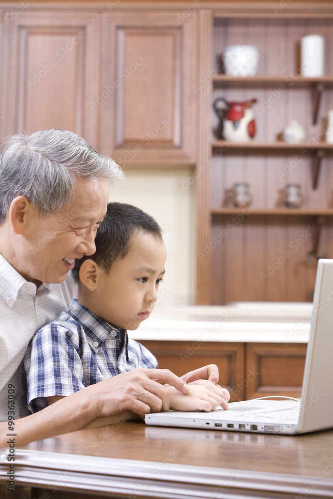 祖父和孙子使用笔记本电脑