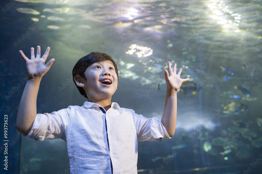 Little boy in aquarium