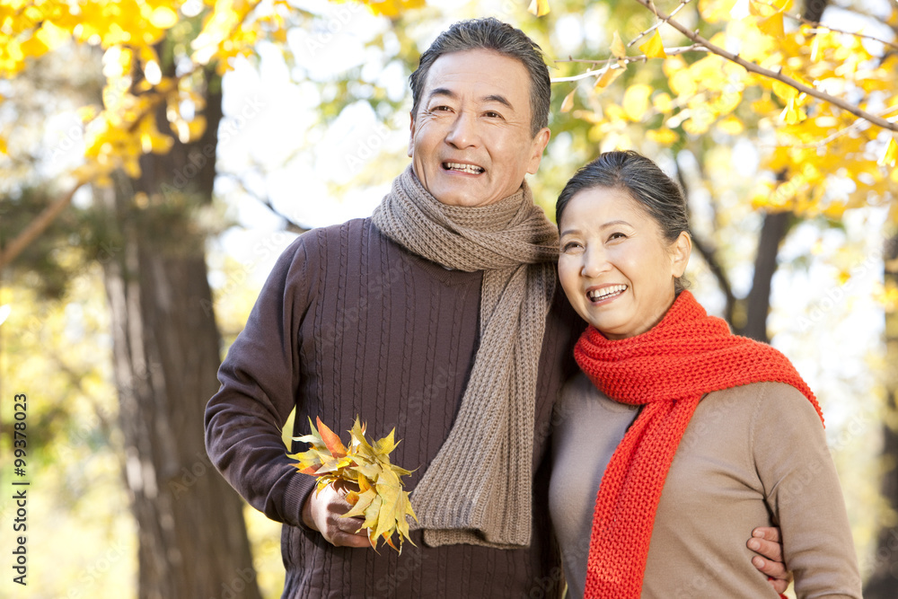 老年夫妇秋天在公园散步