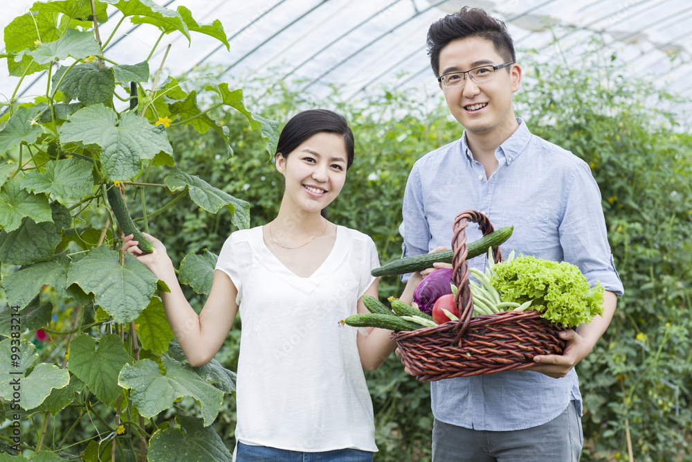 年轻夫妇在温室里摘蔬菜