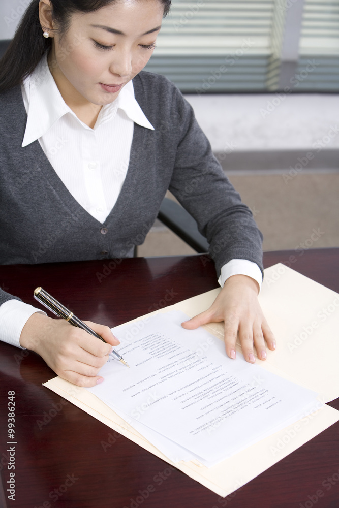 Businesswoman working