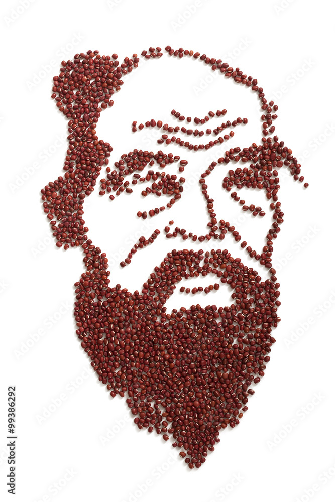 Portrait of Confucius made of red beans