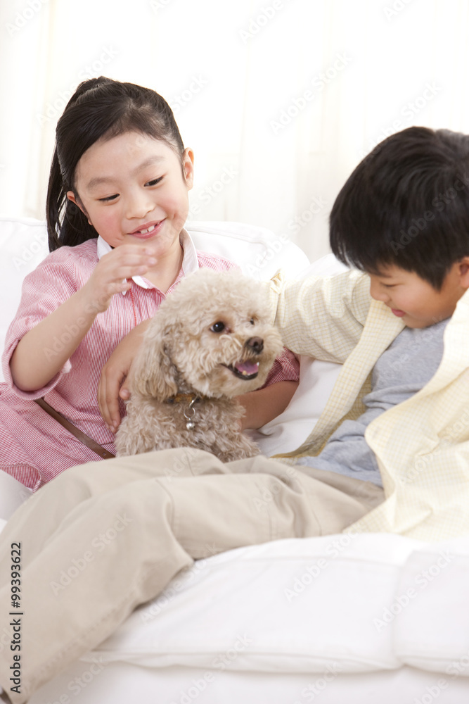 Children playing with a pet toy poodle