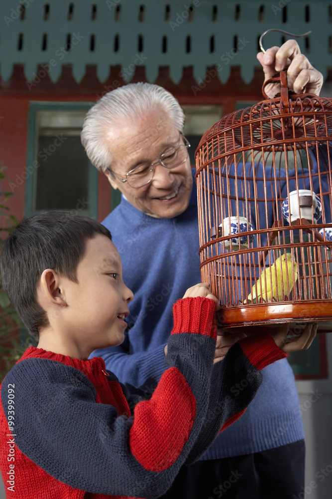 老人向小男孩展示笼子里的鸟