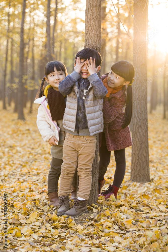 Children playing hide and seek in forest